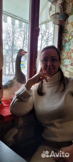 Ветеринарный врач, стерелизация, кастрация,стрижки