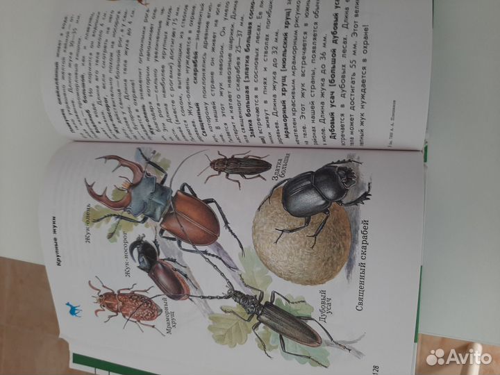 От земли до неба,атлас определитель