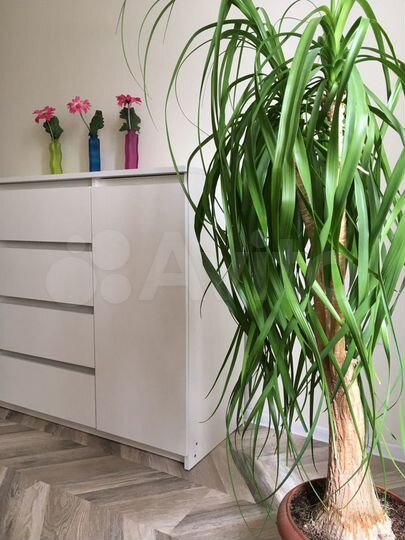 2-к. квартира, 76 м², 6/14 эт.