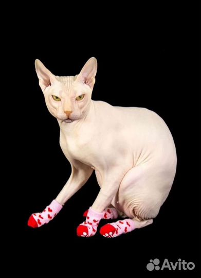 Носки для собак/кошек