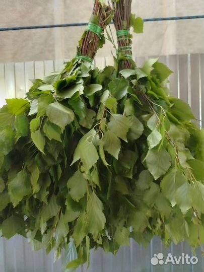 Дубовые веники для бани,сауны