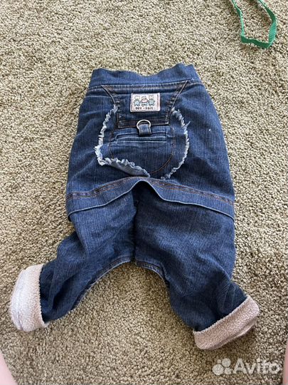 Джинсовый костюм для собак