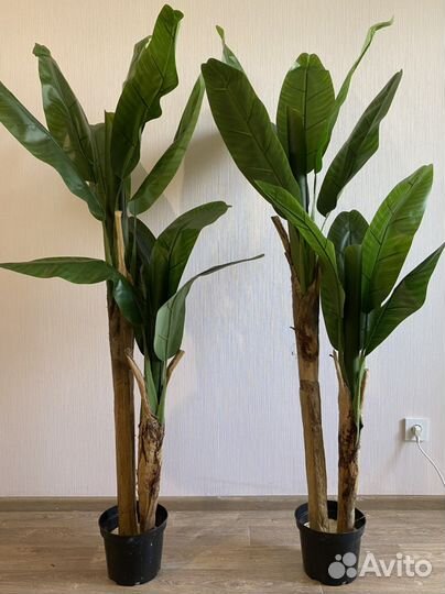 Ампельные растения Искусственное дерево