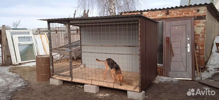 Клетка вольер для собак