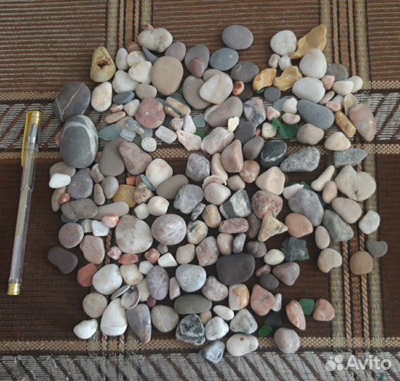 Морские ракушки и камушки с Чёрного моря