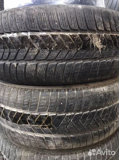 Pirelli Scorpion Winter 255/55 R19 111H