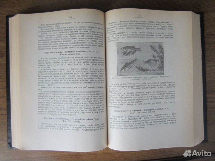 Аквариум любителя