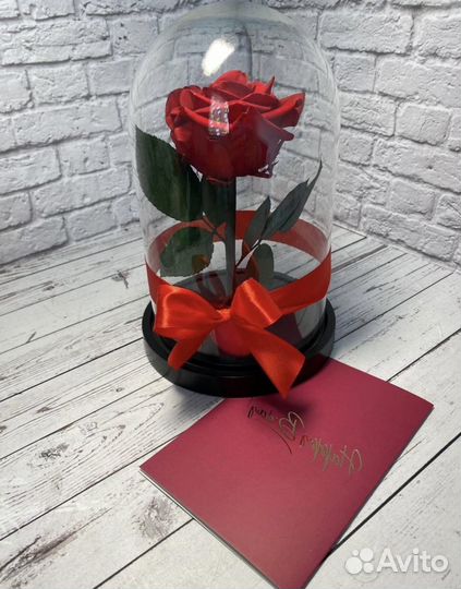Роза в колбе (в наличии)