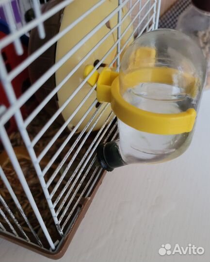 Хомяк с клеткой