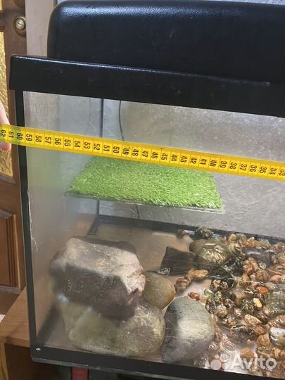 Террариум для черепахи большой