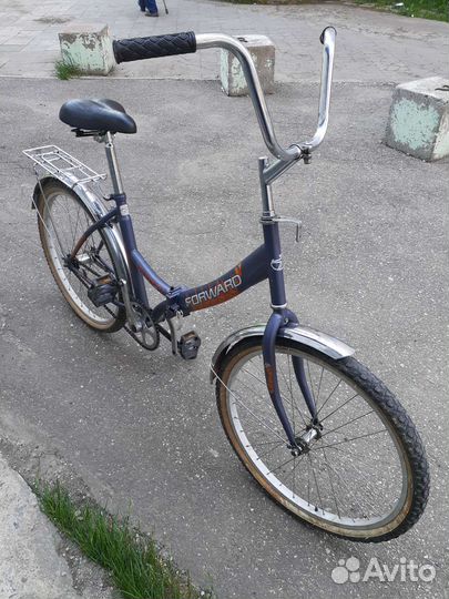 Forward Larsen Stels