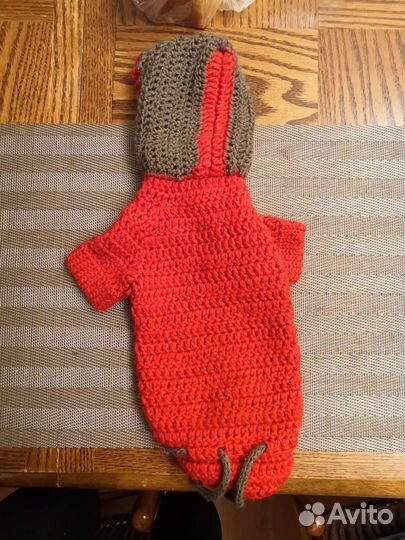 Одежда для животных