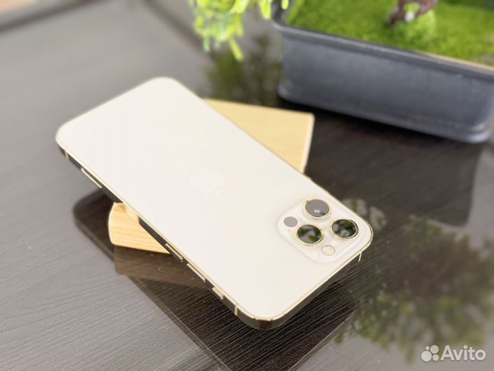 iPhone 12 Pro Max, 256 ГБ