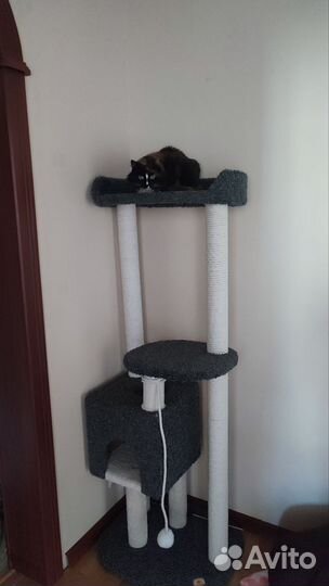 Когтеточка высокая /домик/лежанка для кошки