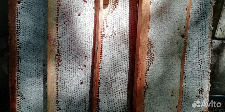 Мёд 3л. Банка