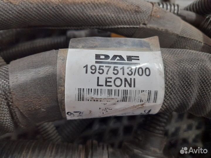 Электропроводка шасси основная Daf XF106