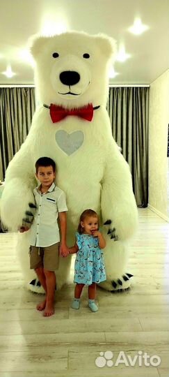 Белый розовый мишка поздравление ростовой медведь