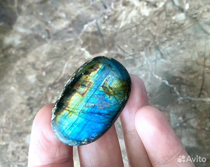 Лабрадор с очень яркой иризацией