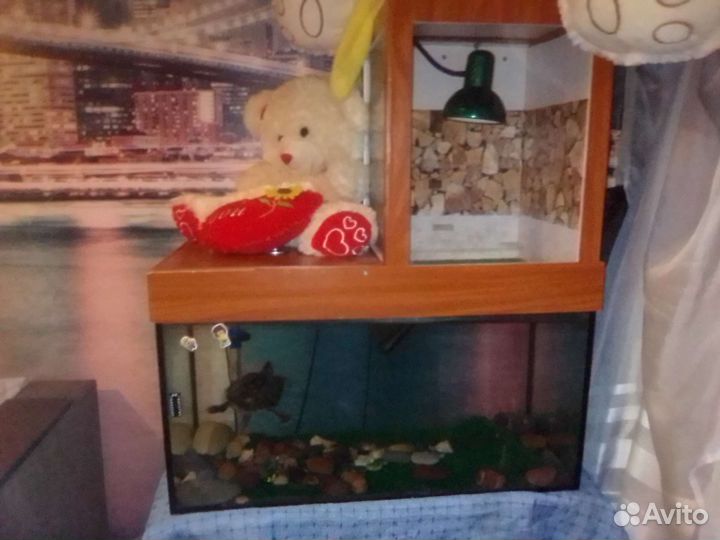 Аквариум