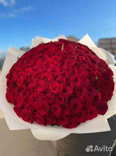 101 красная роза 50см доставка Самовывоз букет