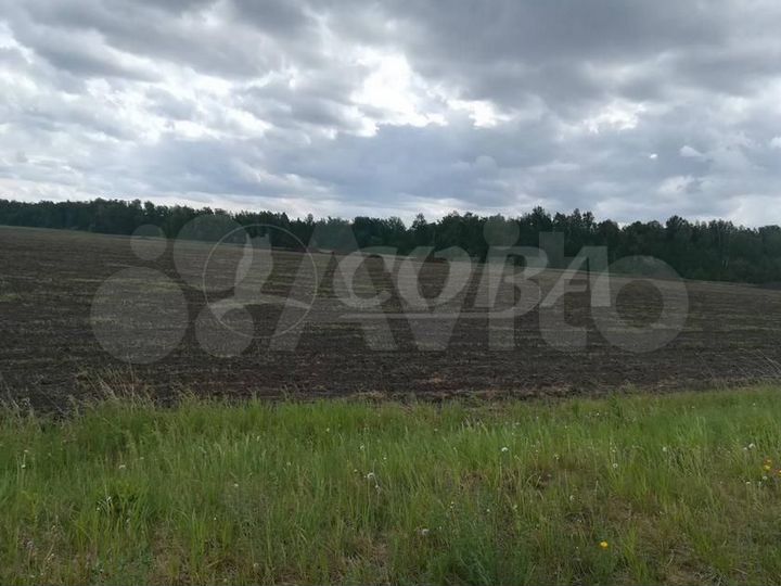 Участок 4,29 га (СНТ, ДНП)