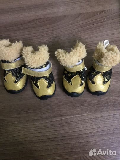 Обувь зимняя для собак