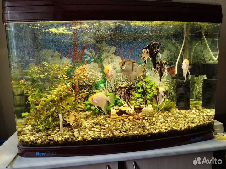 Аквариум с тумбой jebo R375