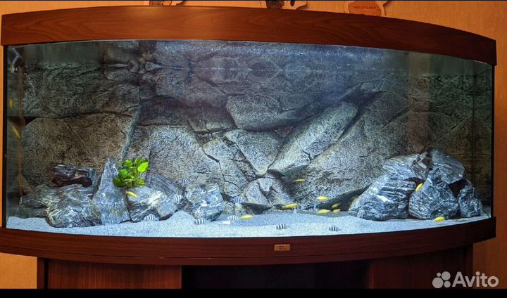 Фон 3D для аквариума