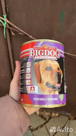 Корм для собак Big Dog телятина с овощами