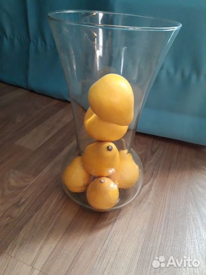 Декоративная тыква