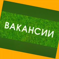 Оператор в цех сборки Работа вахтой Выплаты еженедельно Жилье+Еда Хор.Усл