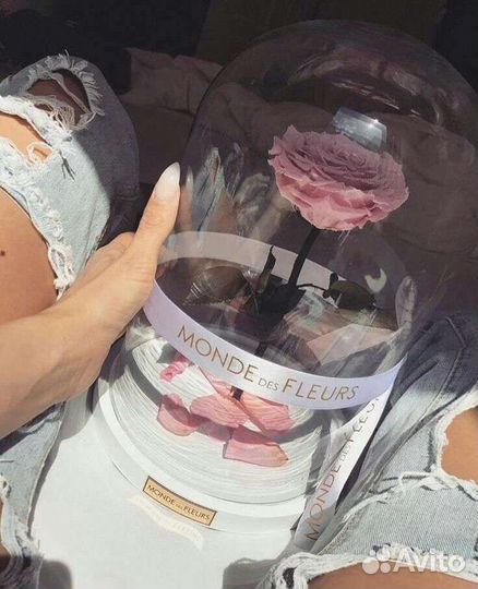 Вечная роза в колбе