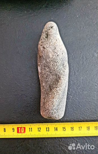 Голова окаменевшей рептилии Миллион лет назад