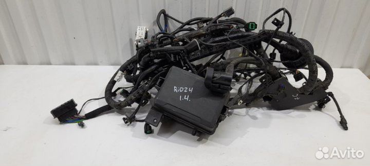 Проводка моторная Kia Rio X-Line 1.4 G4LC АКПП