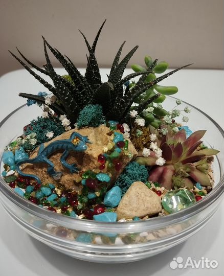 Флорариум суккуленты
