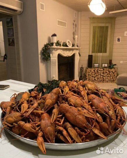 Раки живые мелко- средне-крупные, доставка, варка