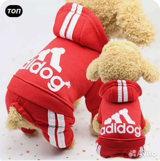 Комбинезон для маленькой собачки