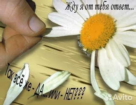 Гадаю на Таро