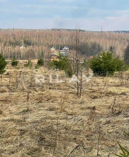 Участок 4,42 га (ИЖС)