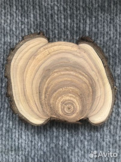 Спил облепихи