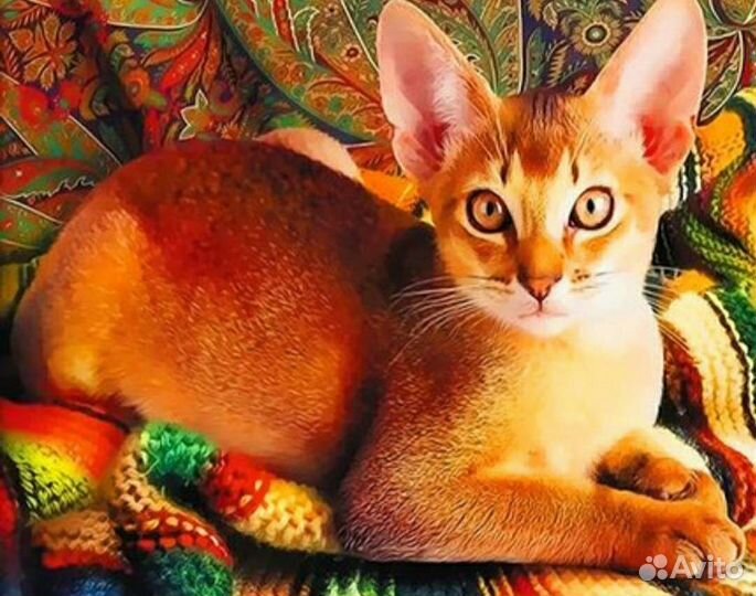 Картины по номерам 40 50 новые