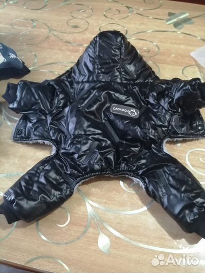 Одежда для маленьких собак