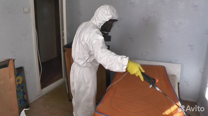 Уничтожение тараканов клопов и насекомых