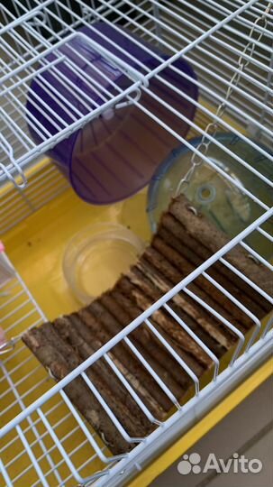 Клетка для грызунов с наполнителем