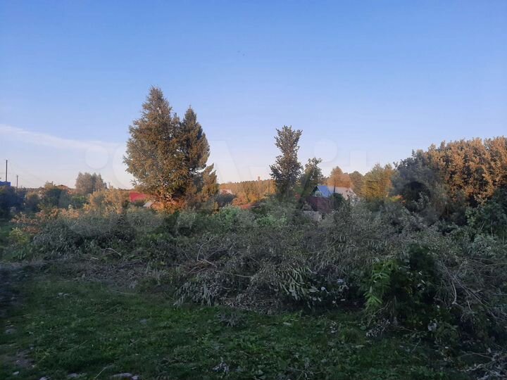 Участок 12 сот. (СНТ, ДНП)