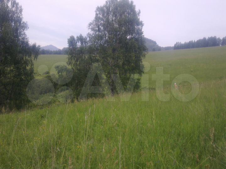 Участок 20 га (СНТ, ДНП)