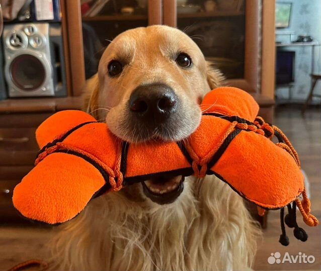 Мягкая косточка игрушка для собак