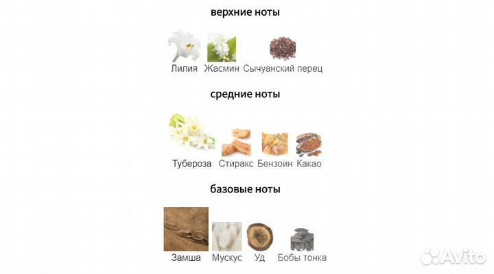 Tom Ford - Tubereuse Nue