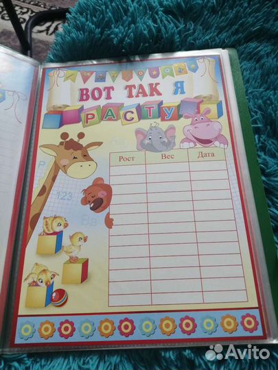 Портфолио дошкольника