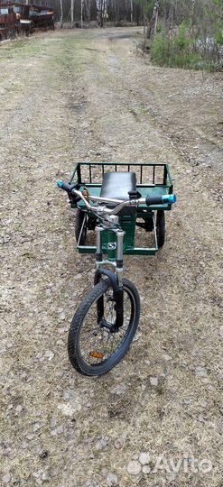 Трайк электрический на дачу
